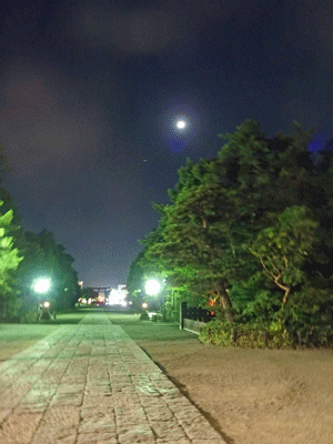 e0312121_18471949.gif