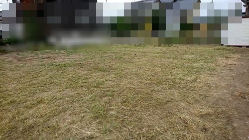 c0013922_11213722.jpg