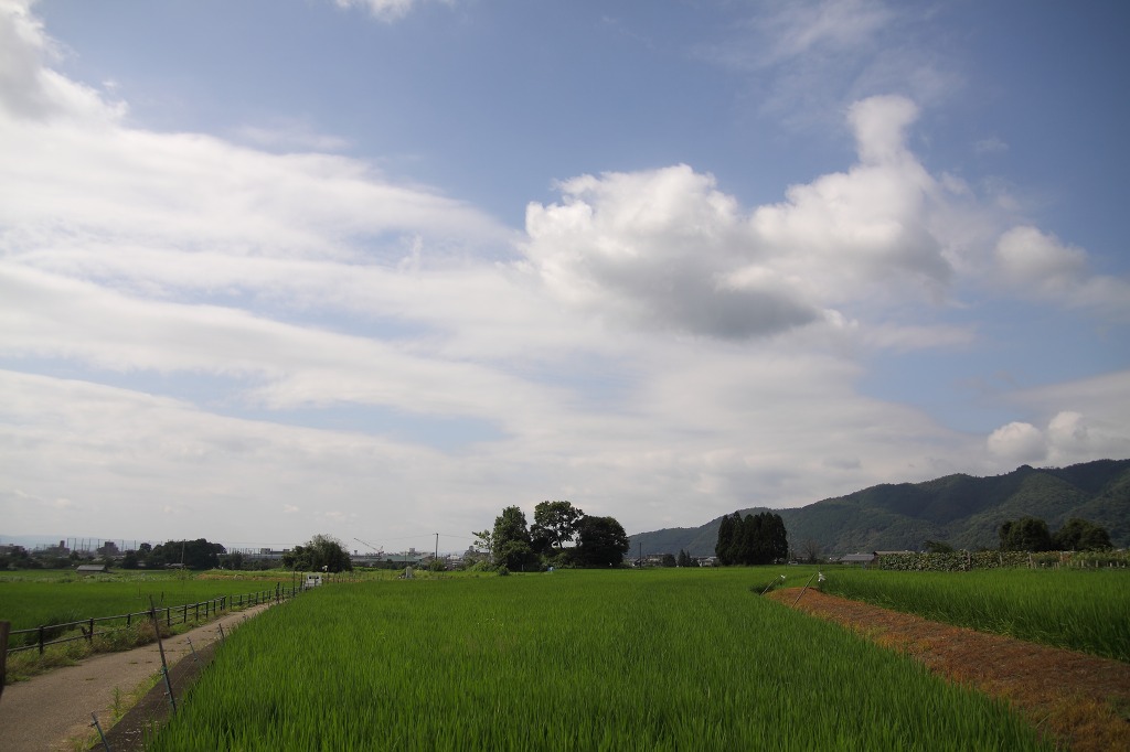 f0264029_8433058.jpg