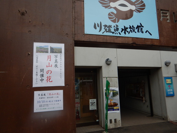 f0118332_2259143.jpg