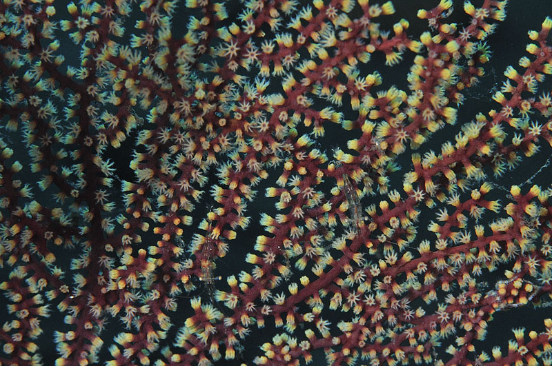 b0042837_6424363.jpg