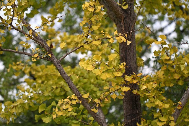 a0242438_17581881.jpg