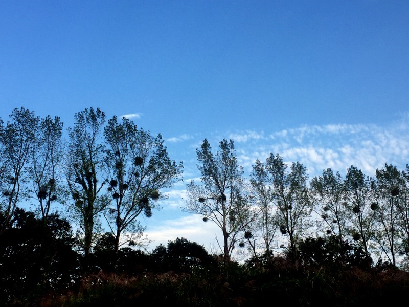 b0057140_20494628.jpg