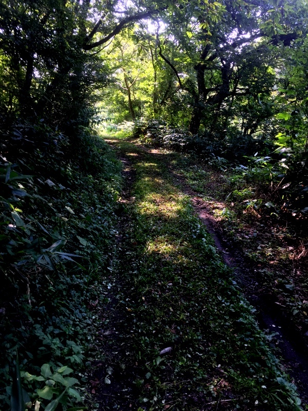 b0057140_21582141.jpg
