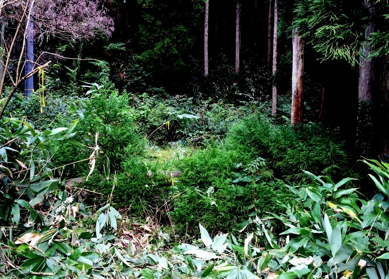 b0057140_22001253.jpg