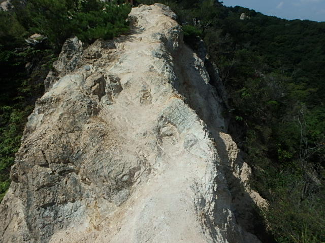 f0334143_16254351.jpg