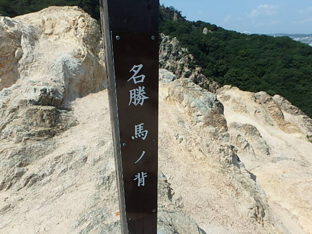 f0334143_16255520.jpg