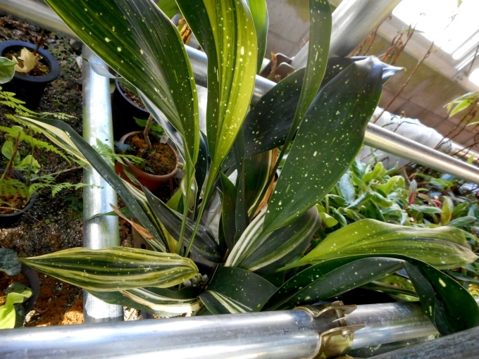 a0353447_05450397.jpg