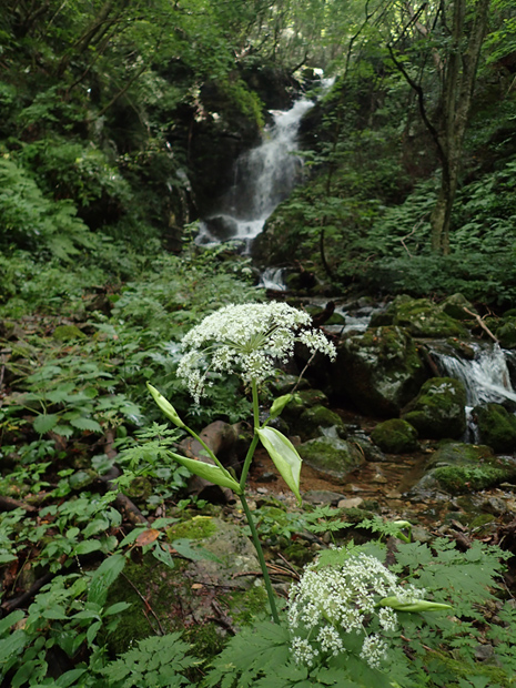 f0214649_6132879.jpg