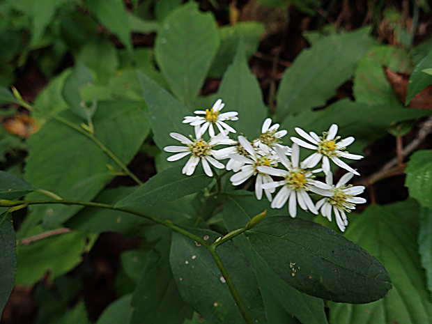 f0214649_6171151.jpg