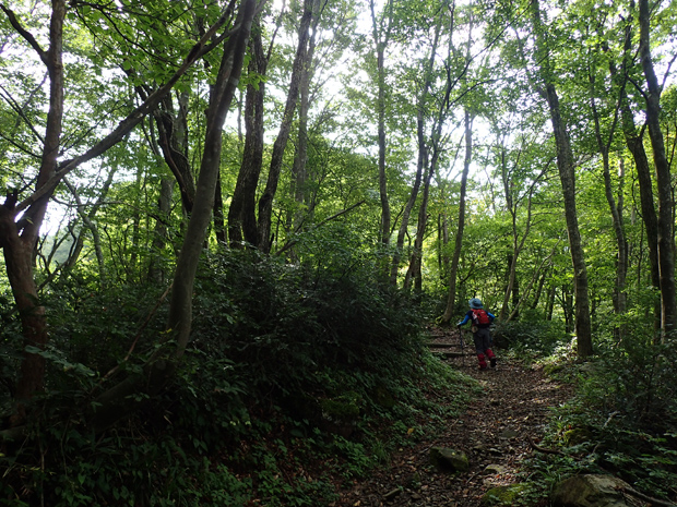 f0214649_6261866.jpg