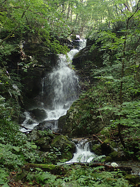 f0214649_691066.jpg