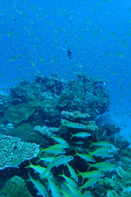 b0062363_1157610.jpg