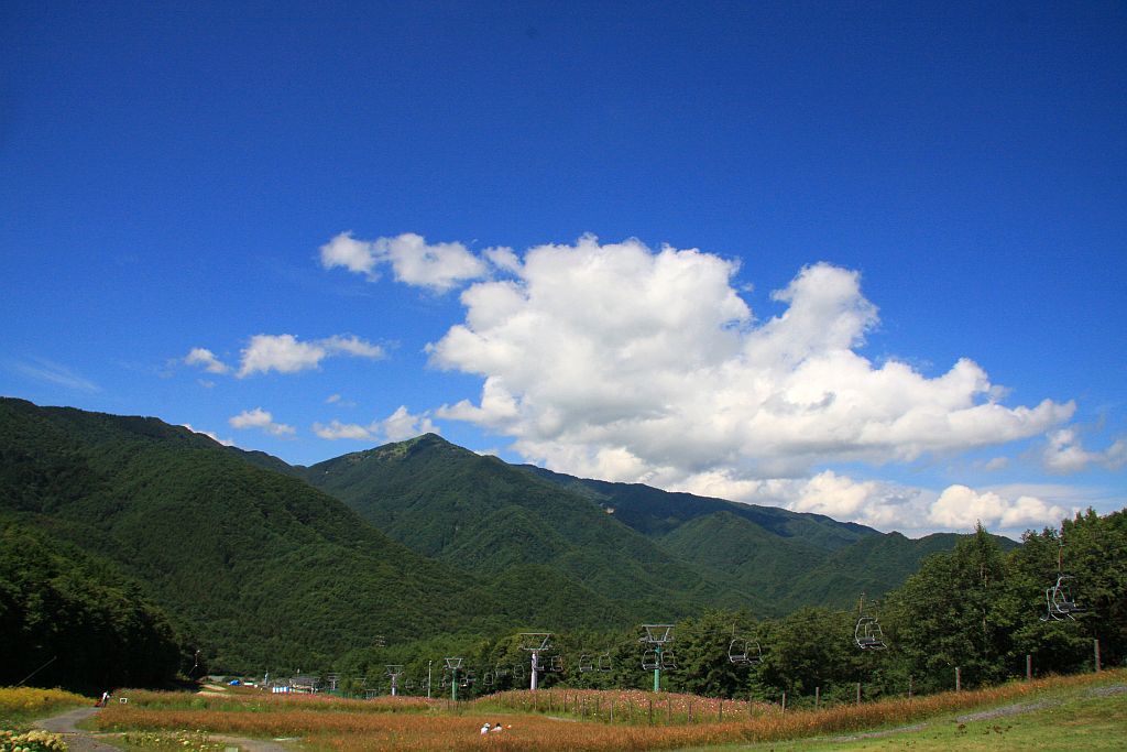 e0220163_09470094.jpg