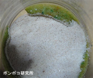 e0073268_20101761.jpg