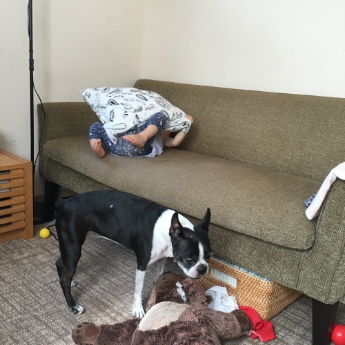 d0041575_17292445.jpeg