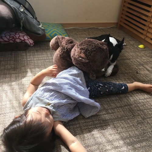 d0041575_17300846.jpeg