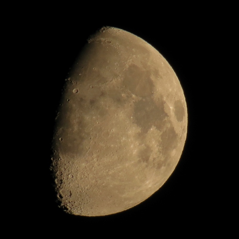 c0183777_1957146.jpg