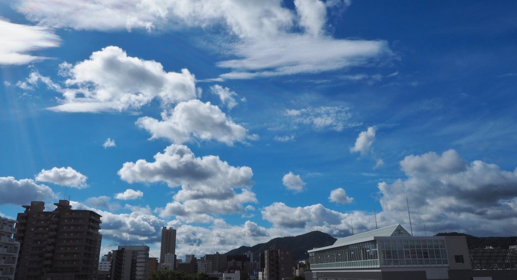 c0183777_9504897.jpg