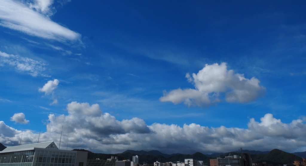 c0183777_950573.jpg