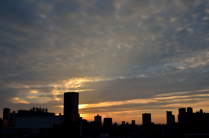 f0108478_17163077.jpg