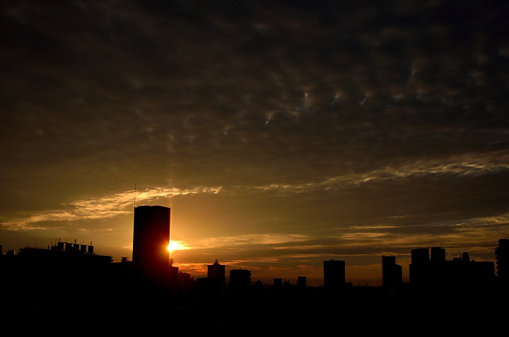 f0108478_17175895.jpg