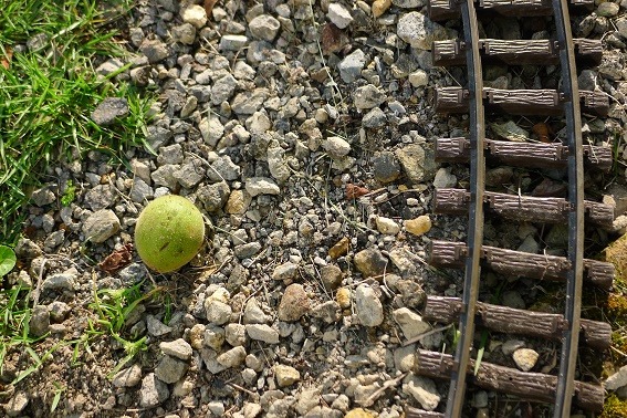 a0130586_2159559.jpg