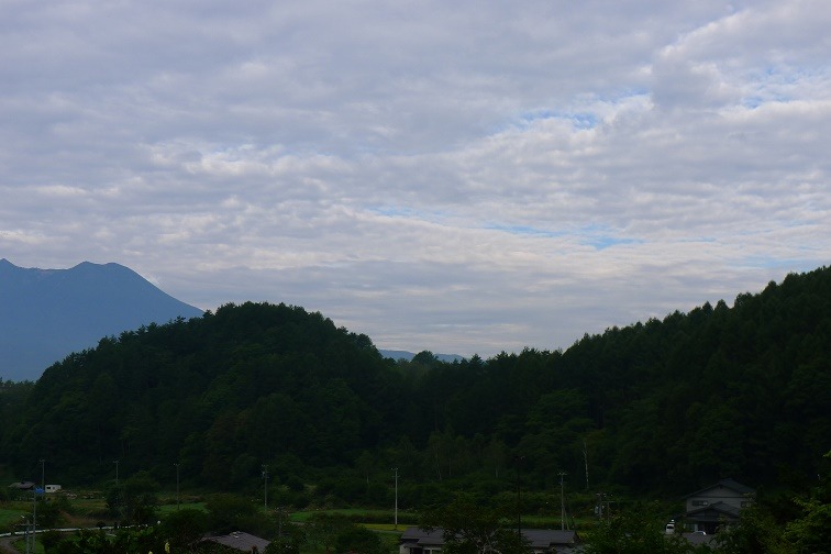a0130586_843379.jpg