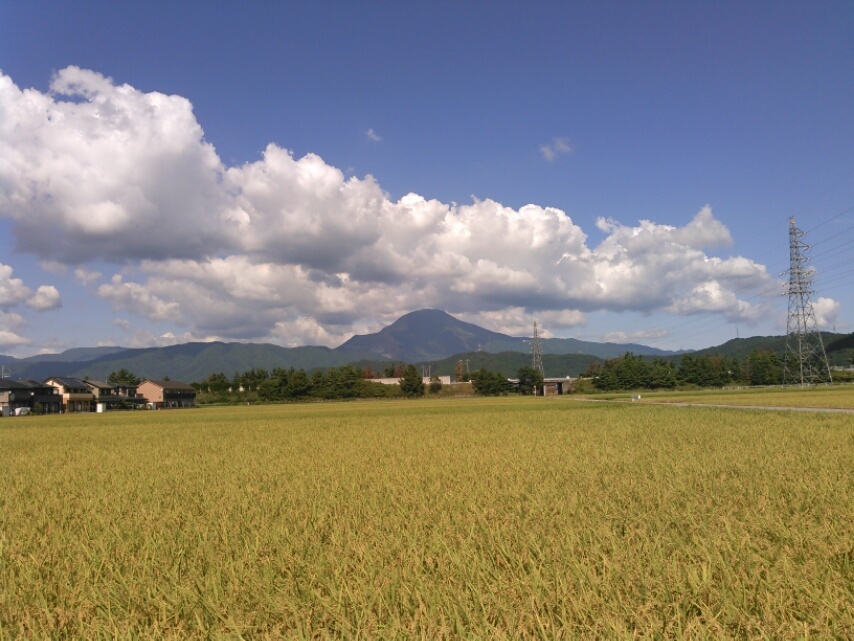 d0094986_22424623.jpg