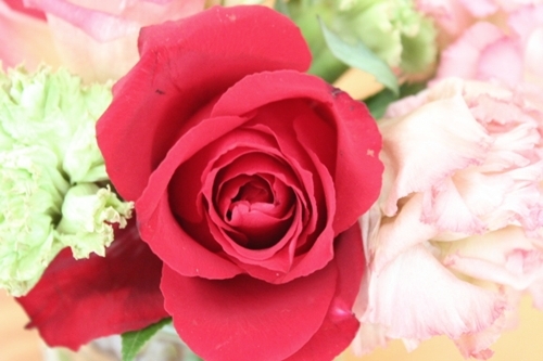 f0243587_13404232.jpg