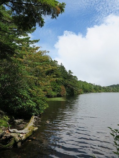 e0271890_14461757.jpg