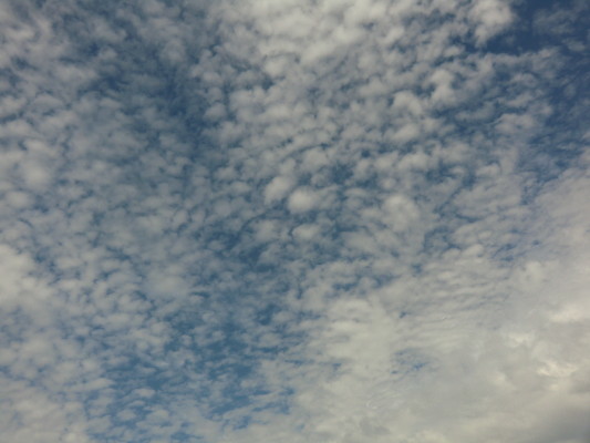 b0111791_20581462.jpg