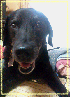 d0282395_18441592.png