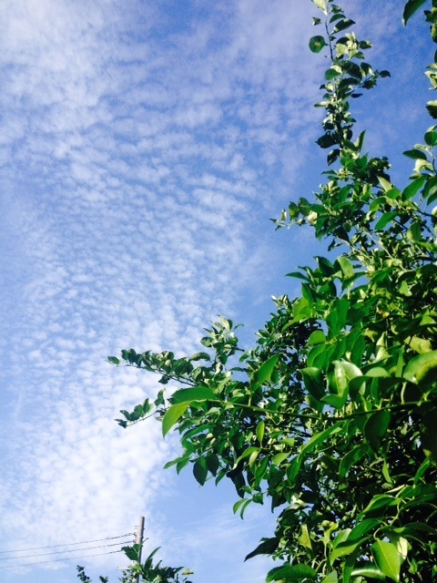 f0204295_14144804.jpg