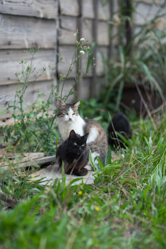f0003598_2010688.jpg