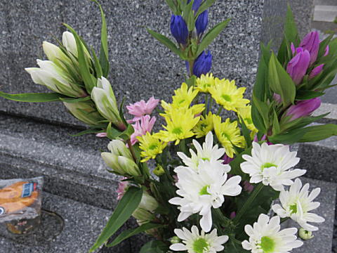 d0046702_18254925.jpg
