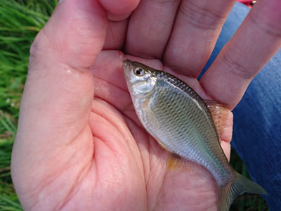 f0082402_20322489.jpg