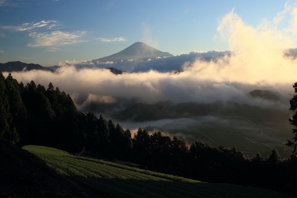 a0188405_05520309.jpg