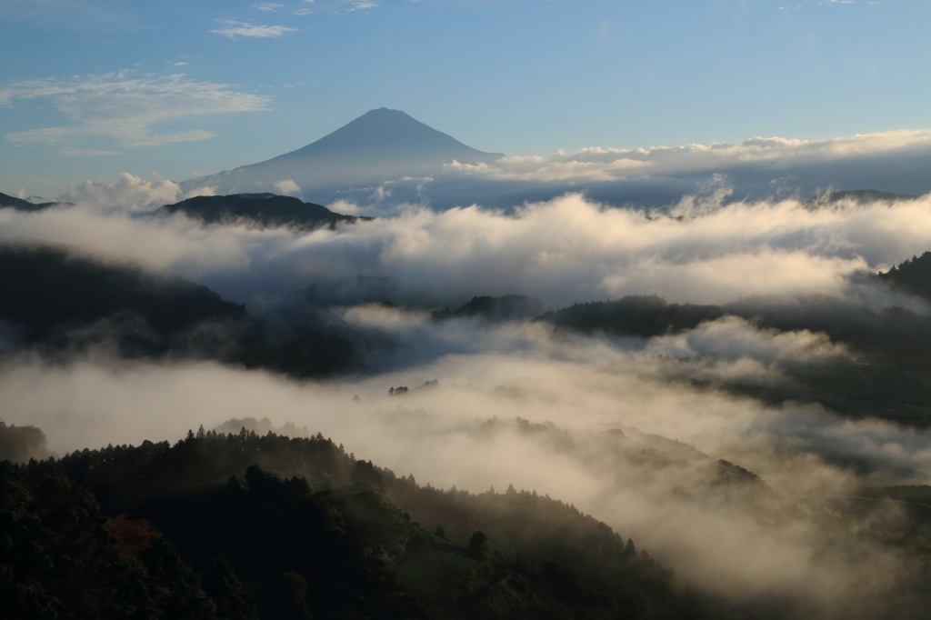 a0188405_05522381.jpg