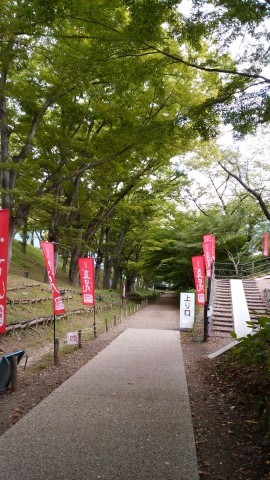 c0117007_914029.jpg