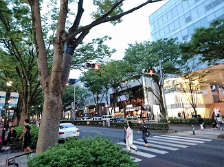 d0091909_10291491.jpg