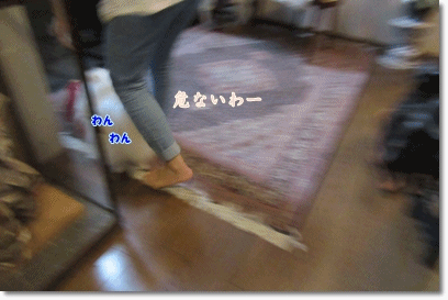 b0167519_20345390.gif
