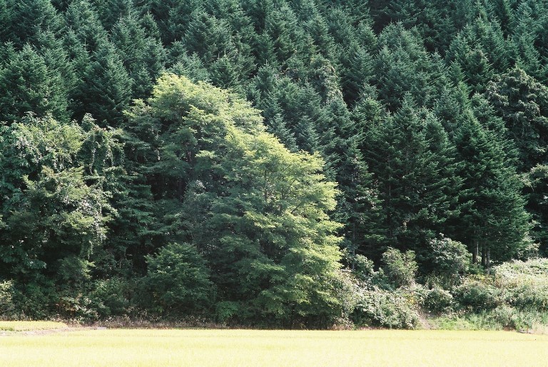 f0362725_17085624.jpg