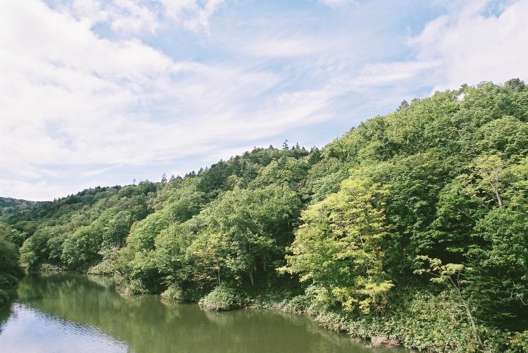 f0362725_17103497.jpg