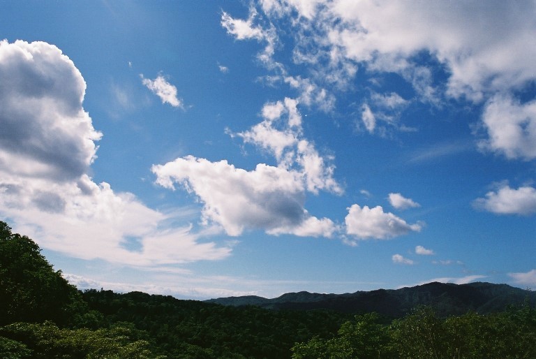 f0362725_17164866.jpg