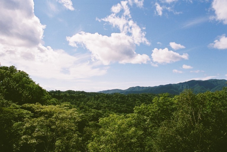 f0362725_17165705.jpg