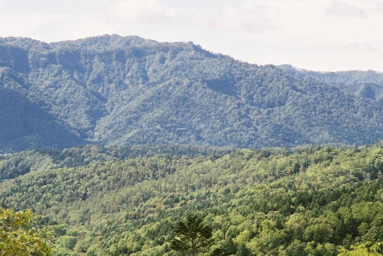 f0362725_17171279.jpg