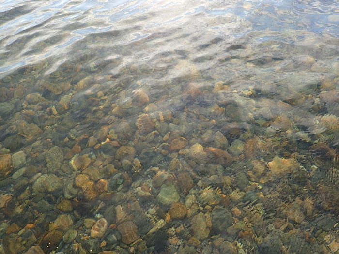f0103126_21444557.jpg