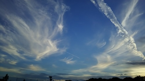 f0317533_09590150.jpg