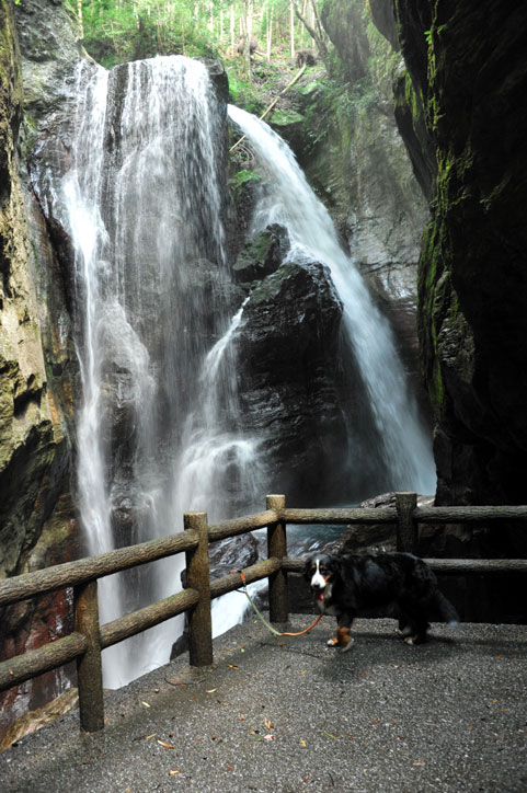 b0075541_14101176.jpg